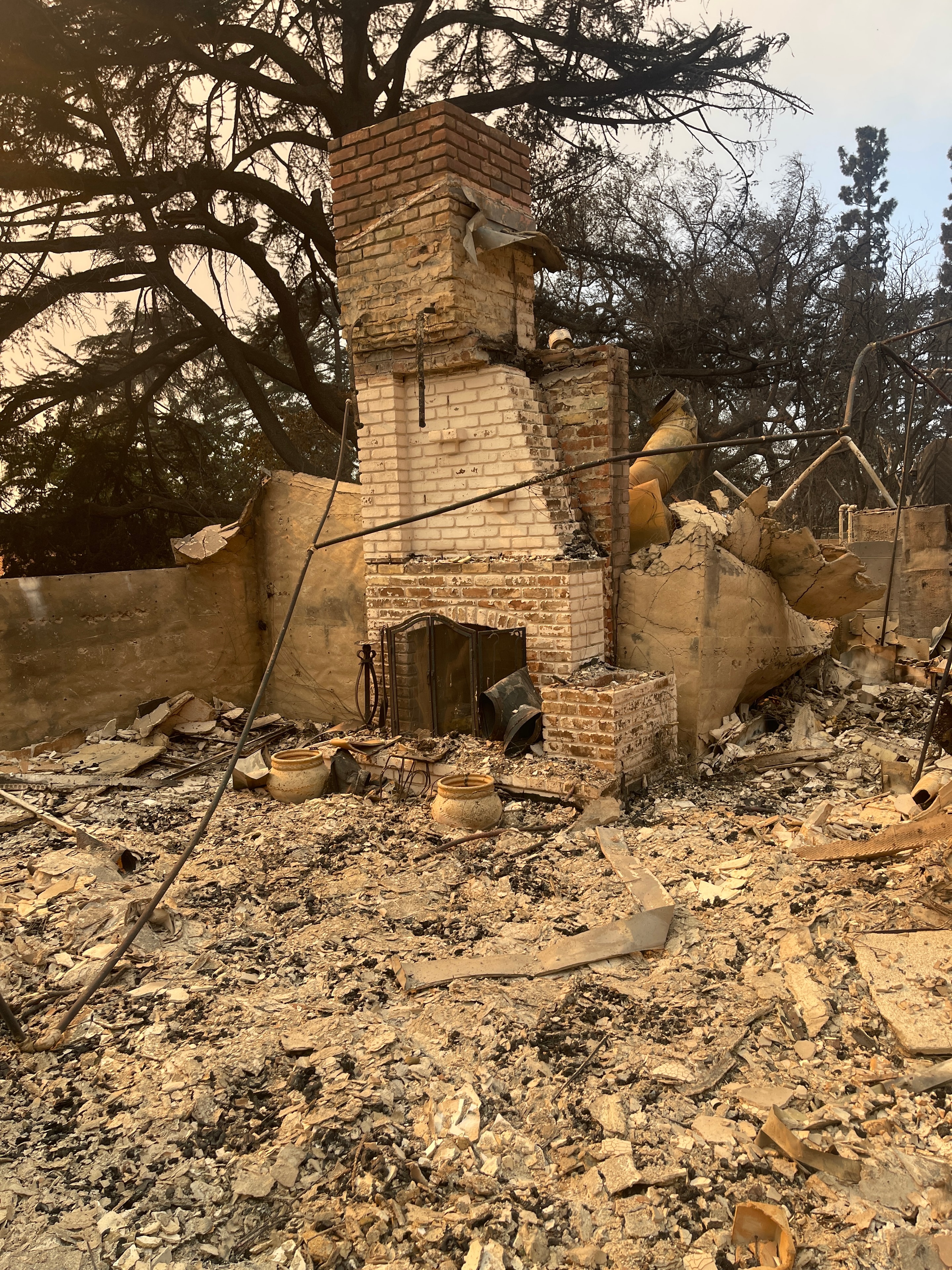 From the Altadena Wildfires to the NoHo Stage: How Tamir Yardenne Built The Young and the Rest of Us